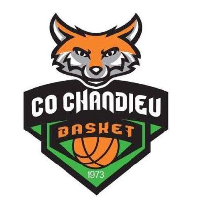 CO CHANDIEU